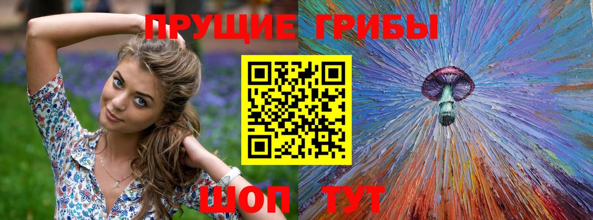 даркнет сайт  Псилоцибиновые грибы Psilocybe  Вход с VPN  Кизилюрт 